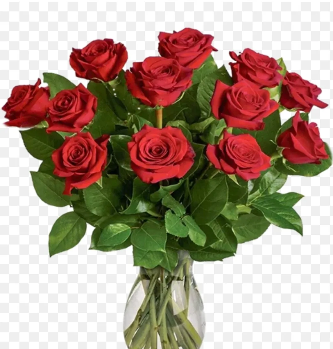 Mazzo di 12 Rose Rosse - De Luca Fiori - Le Rughe - Formello