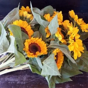 Alternative view of Mazzo di 12 Girasoli a Gambo Lungo