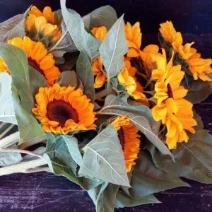 Mazzo di 12 Girasoli a Gambo Lungo