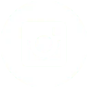 Composizione fiori per eventi Roma