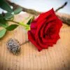 Rose Rosse a gambo lungo – 70cm