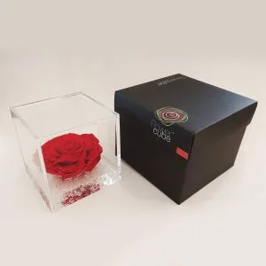 Rose Stabilizzate Flowercube 10x10