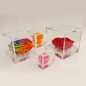 Rose Stabilizzate Flowercube 6x6