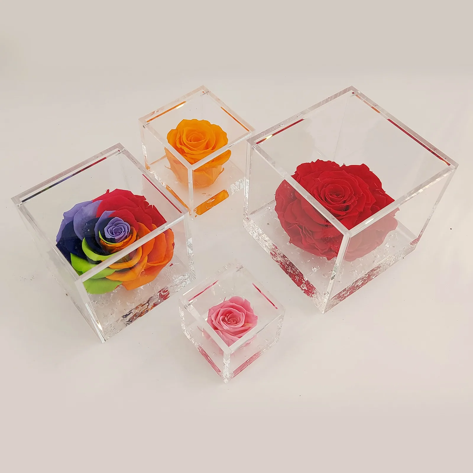 Rose Stabilizzate Flowercube 10x10 - immagine 2