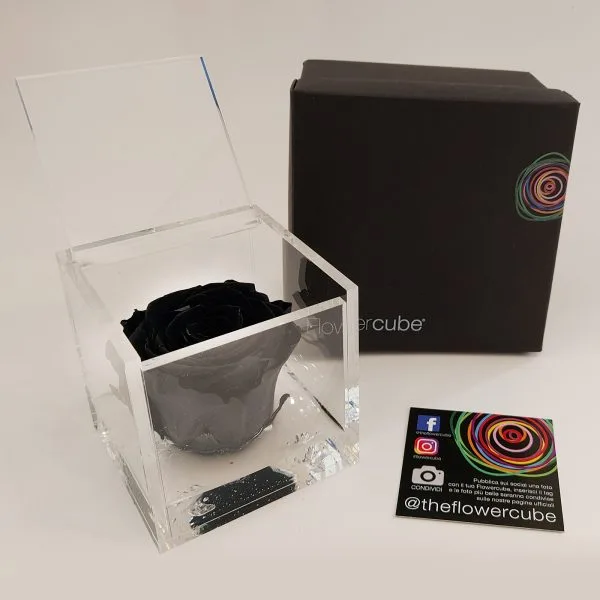 Rose Stabilizzate Flowercube 8x8 - immagine 7