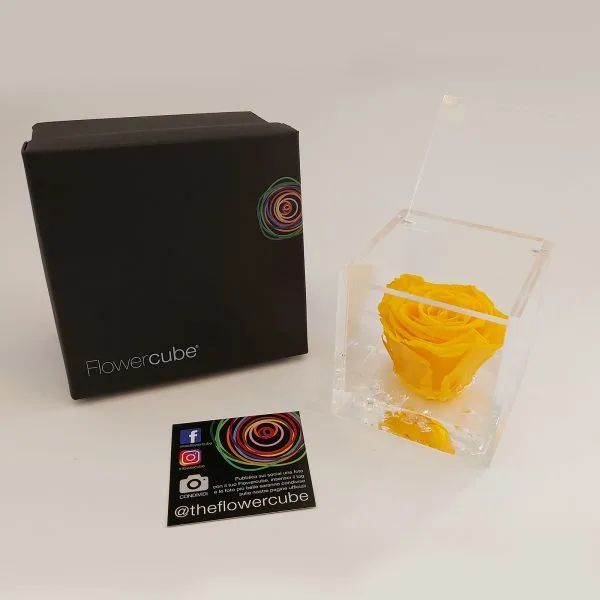 Rose Stabilizzate Flowercube 8x8 - immagine 6