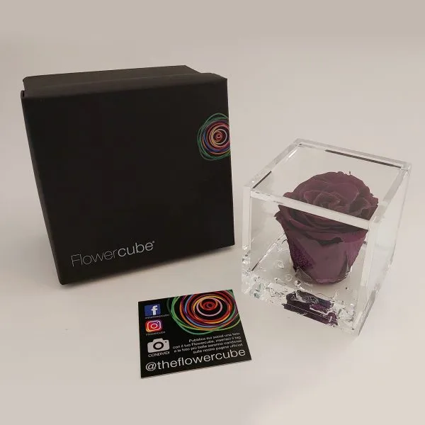 Rose Stabilizzate Flowercube 8x8 - immagine 5