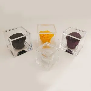 Alternative view of Rose Stabilizzate Flowercube 8x8