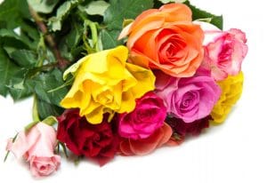 Il Significato del Colore delle Rose