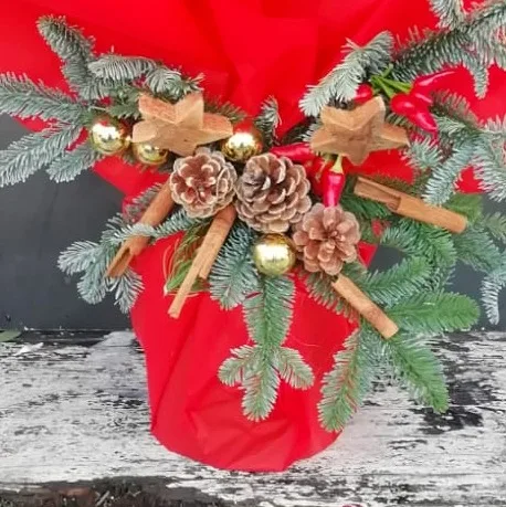 Stella di Natale - immagine 2