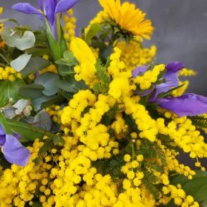 Bouquet "Alessia": mazzo di fiori con mimosa, girasoli, tulipani e iris blu - immagine 3