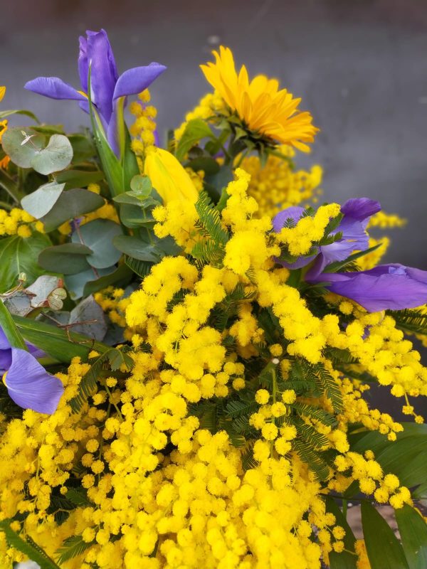 Bouquet "Alessia": mazzo di fiori con mimosa, girasoli, tulipani e iris blu - immagine 3