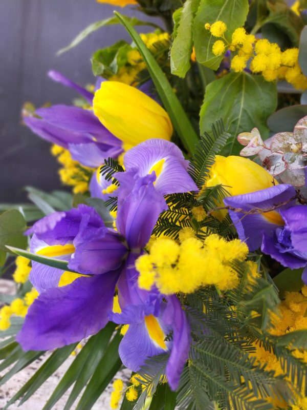 Bouquet "Alessia": mazzo di fiori con mimosa, girasoli, tulipani e iris blu - immagine 2