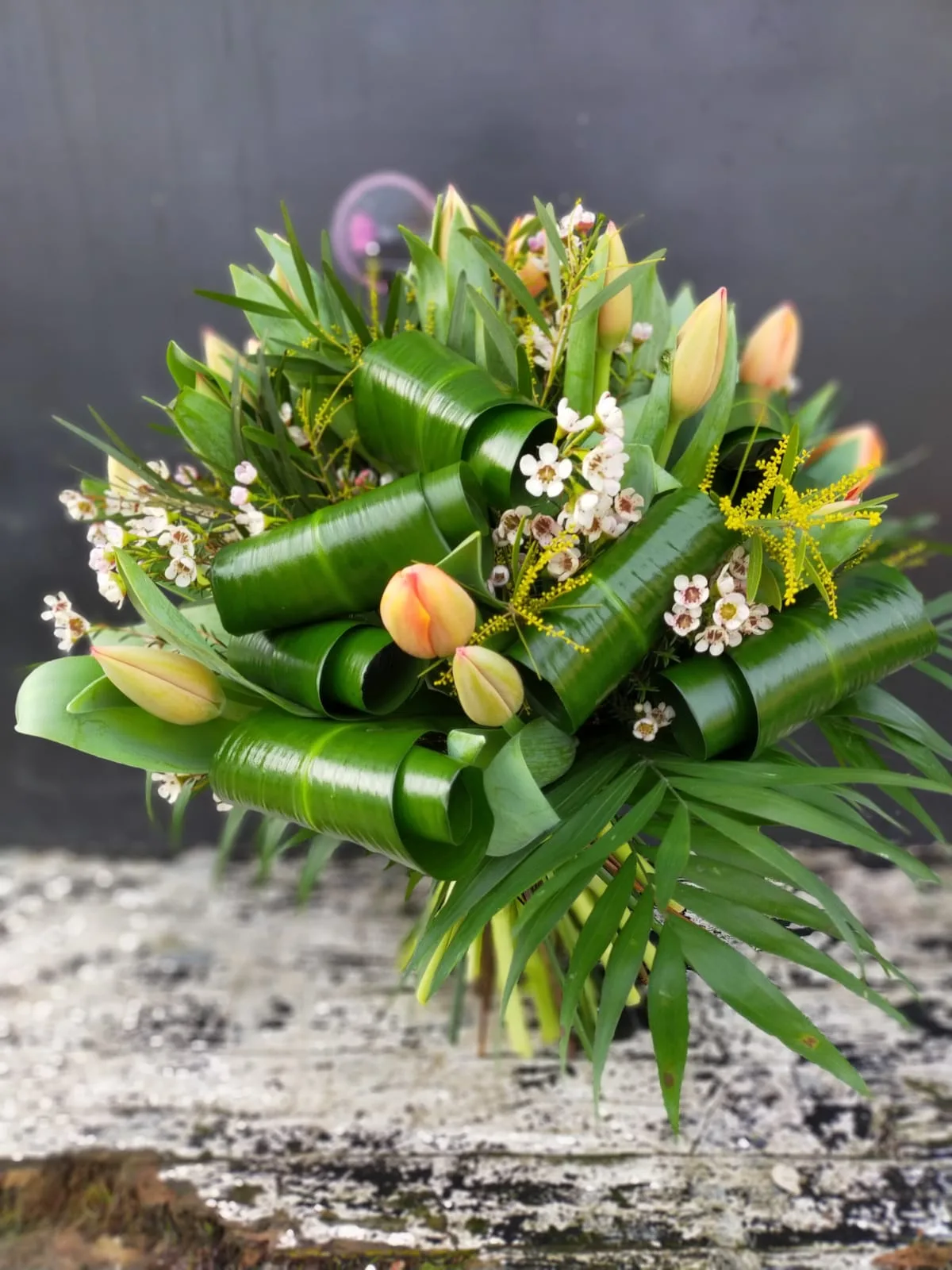24 tulipani