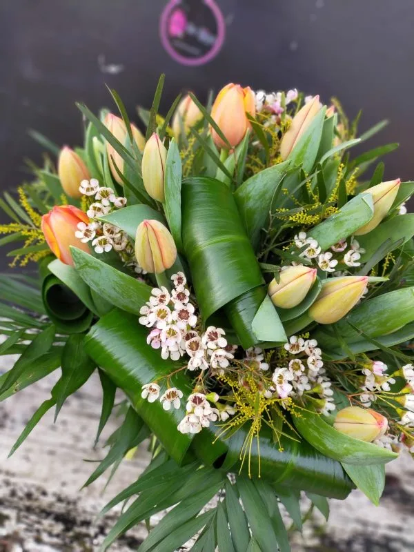 24 tulipani - immagine 2