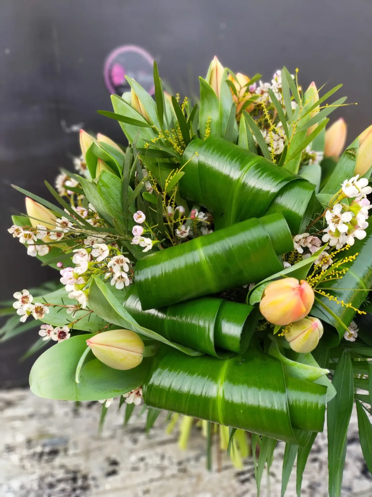 24 tulipani - immagine 4