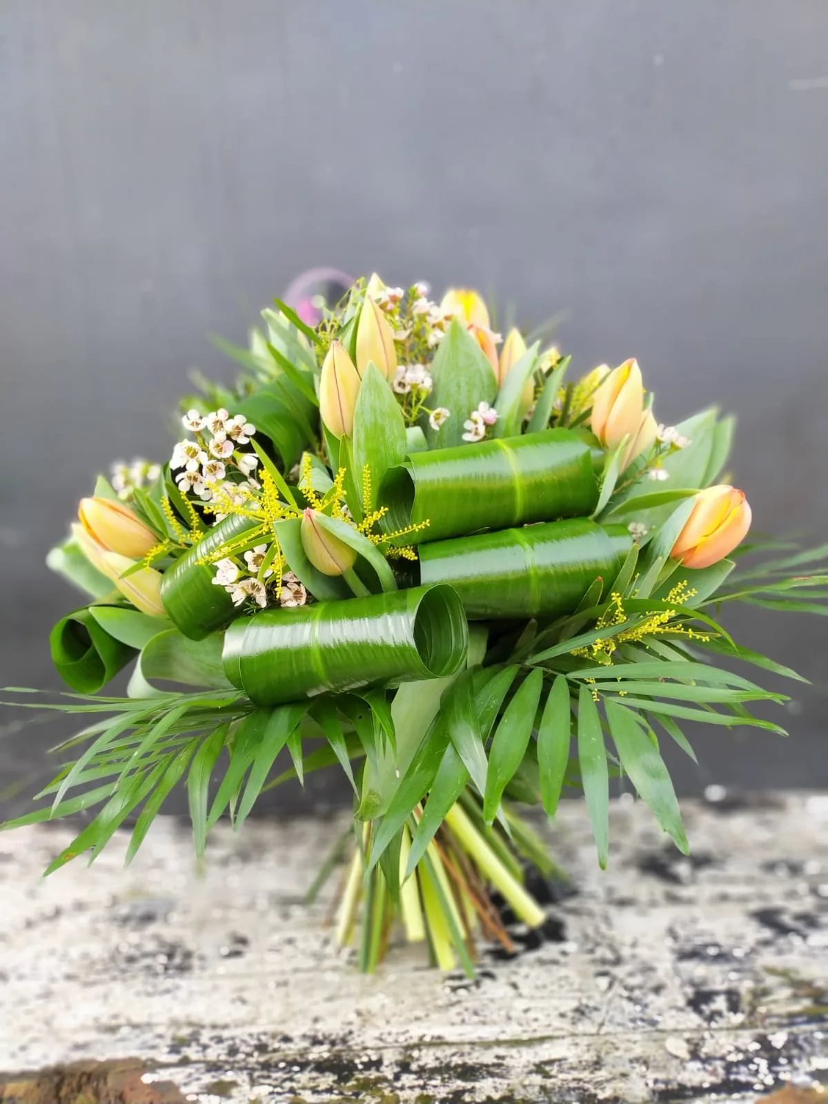 24 tulipani - immagine 3