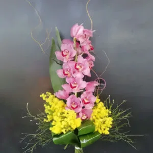 Ramo Orchidea Cymbidium - De Luca Fiori - Le Rughe - Formello