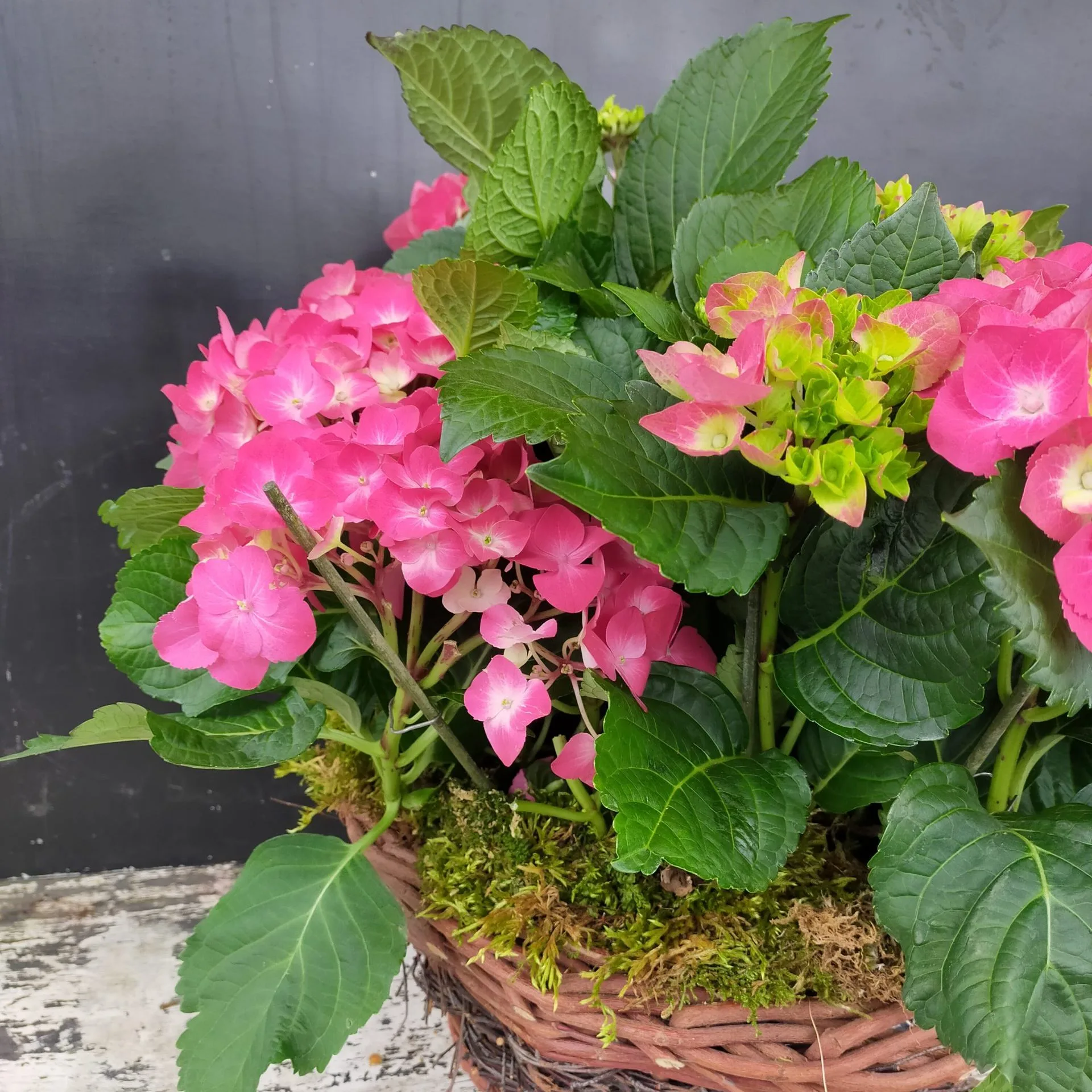 Cesto con Ortensie - immagine 2