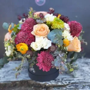 Composizione su scatola