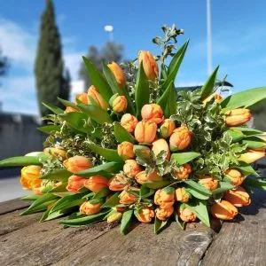 Mazzo di Tulipani - De Luca Fiori - Le Rughe - Formello