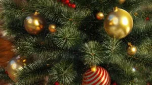 tradizione dell'albero di Natale - De Luca Fiori
