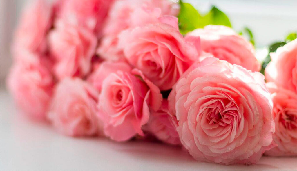 Fiori per la Festa della Mamma - De Luca Fiori - Le Rughe - Formello