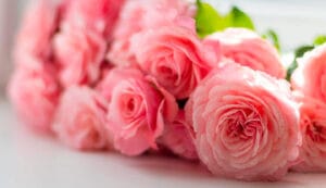 Fiori per la Festa della Mamma - De Luca Fiori - Le Rughe - Formello
