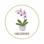 Orchidee